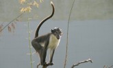 Barcelona Zoo