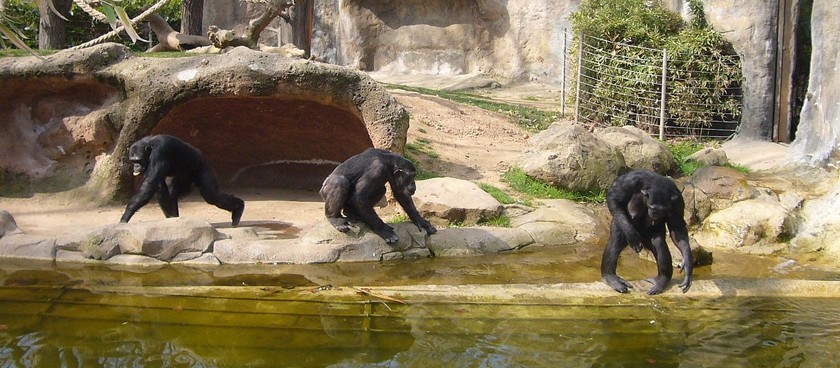 Barcelona Zoo