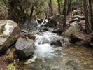 Caledonia Falls