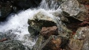 Caledonia Falls