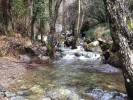Caledonia Falls