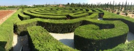 Cyherbia Labyrinth Park