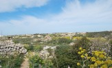 Fields in dingli