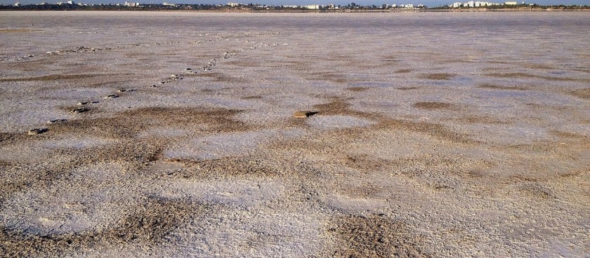 Larnaka Salt Lake