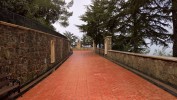 Monument to The First President of Cyprus Archbishop Makarios III