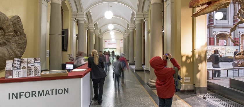 Museum of Natural History (Museum für Naturkunde)