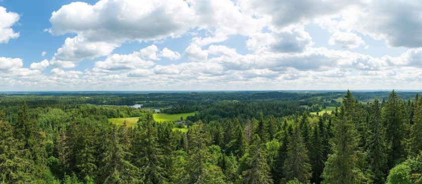 Observation tower on Suur Munamägi