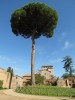 Palatine Hill