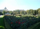 People’s Garden Park of Vienna (Volksgarten)