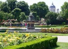 People’s Garden Park of Vienna (Volksgarten)