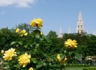 People’s Garden Park of Vienna (Volksgarten)