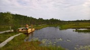 Riisa Swamp Study Trail