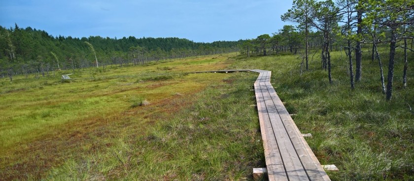 Riisa Swamp Study Trail