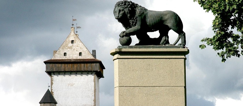 Swedish Lion