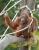 Tiergarten Schonbrunn - Wien Zoo