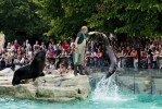 Tiergarten Schonbrunn - Wien Zoo