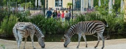 Tiergarten Schonbrunn - Wien Zoo