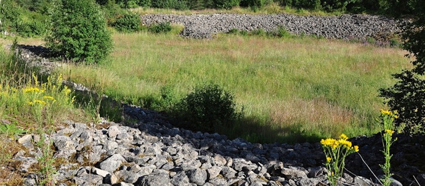 Valjala Hill Fort