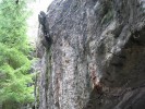 Wolf's Lair