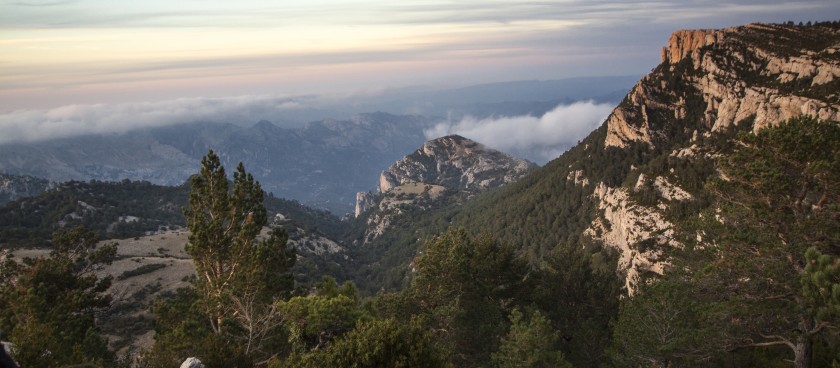 Ermita de Pallerols Circuit - Nature Trail