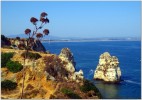 Cape St. Vicente (Cabo de Sao Vicente)