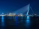 Erasmus bridge