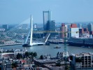 Erasmus bridge