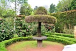 Furnas. Lake and thermal springs