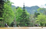 Furnas. Lake and thermal springs