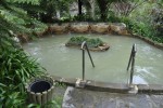 Furnas. Lake and thermal springs