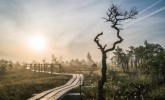 Great Ķemeri Bog trail