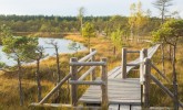 Great Ķemeri Bog trail