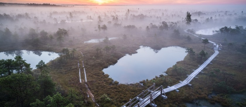 Great Ķemeri Bog trail