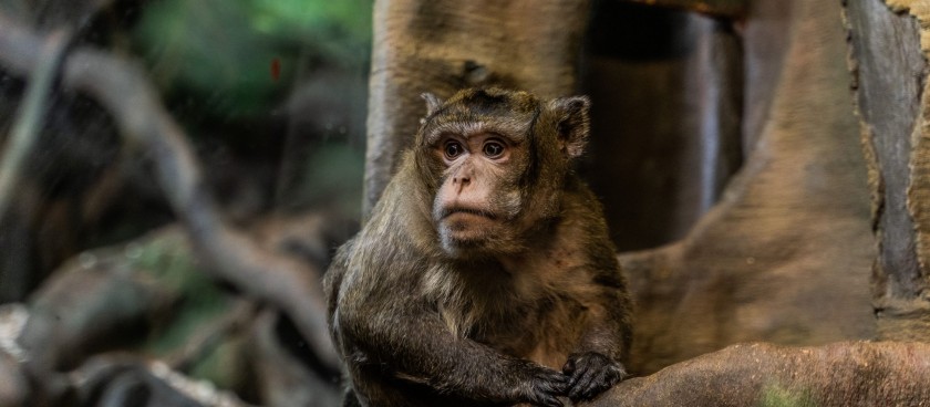 Latgale Zoo