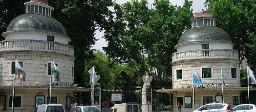 Lisbon zoo