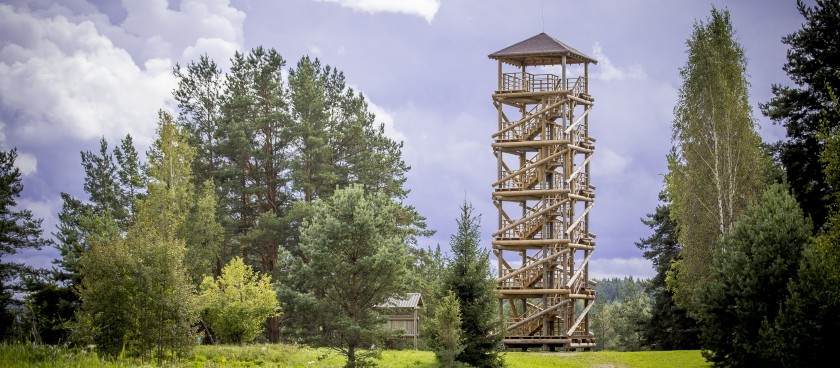 Sightseeing Tower in Vasargeliski