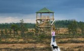 Stiklu Bog Nature Trail