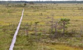 Stiklu Bog Nature Trail