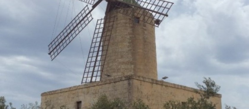 The Xarolla Windmill