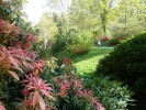 Botanical Conservatory National De Brest