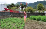 Azores scarecrow...